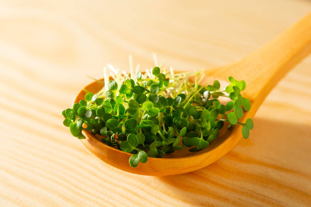Wooden spoon with healthy sprouts on wooden table - Photo, Image
