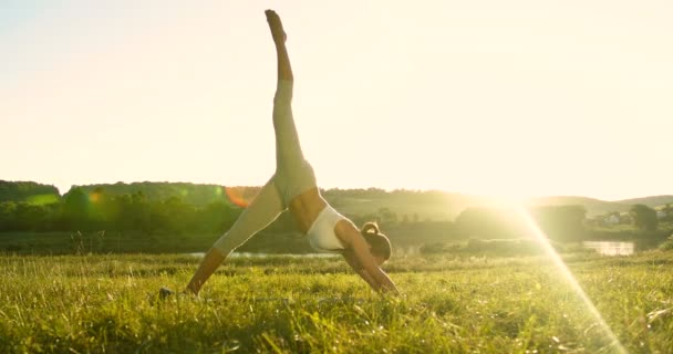 Blanke jonge sportieve slanke vrouw doet yoga en stretching up op groen gras buiten in de zomer. Vrouwelijke yogi doen neerwaartse hond poseren in prachtig veld. Naar beneden gerichte hond Asana met opgestegen been. - Video