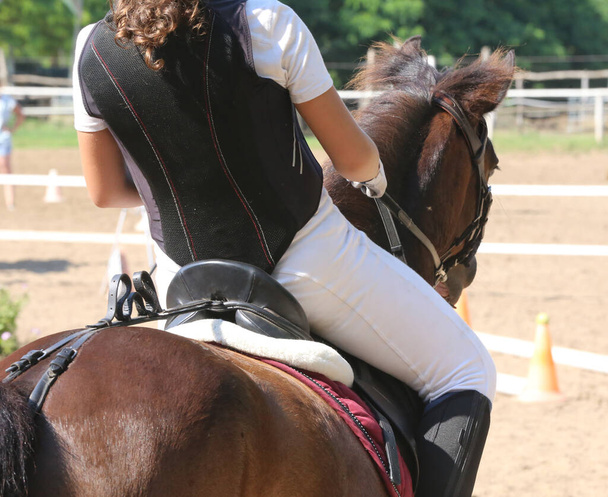 Desconocido competidor montar a caballo puente espectáculo en el evento de equitación hora de verano. Mostrar caballo puente bajo silla de montar - Foto, Imagen