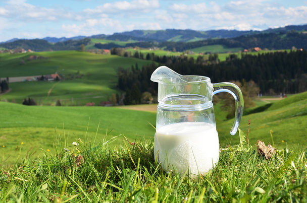 Jug of milk. - Photo, Image