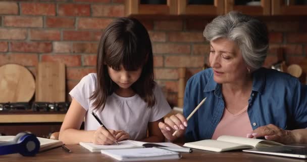 Elderly tutor giving private educational lesson to little kid girl - Filmagem, Vídeo