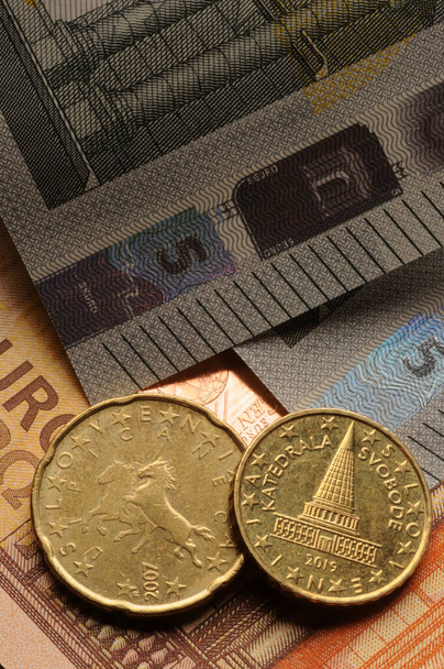 Close-up van de euromunten van Slowakije - Foto, afbeelding