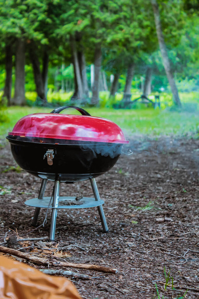 Літній гриль їжа, ковбаса, овочі та м'ясо шашлику на грилі для барбекю над димом та гарячим вугіллям
 - Фото, зображення