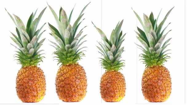 Ananas rotace izolované na bílém pozadí, čerstvé ovoce - Záběry, video