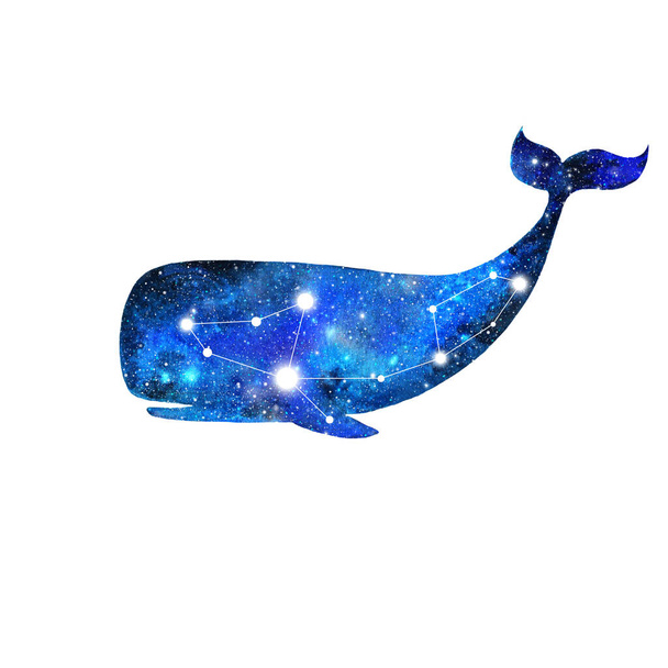Акварельные киты изолированы на белом фоне. Текстура неба и звезд. - Фото, изображение