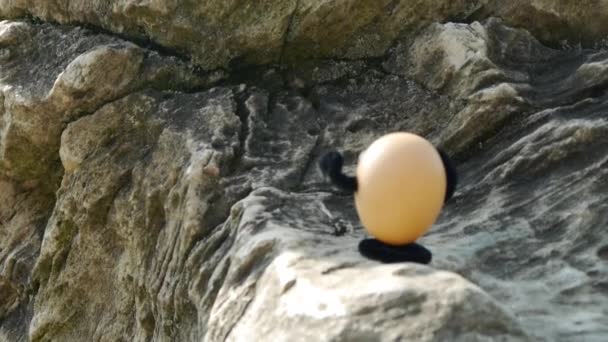 Climbing funny eggs - Footage, Video