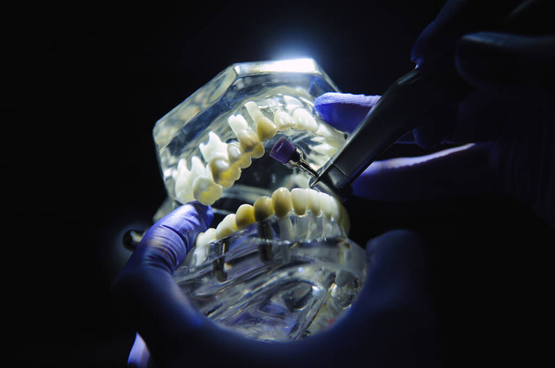 Il dentista dimostra come lucidare i denti con uno spazzolino da denti - Foto, immagini
