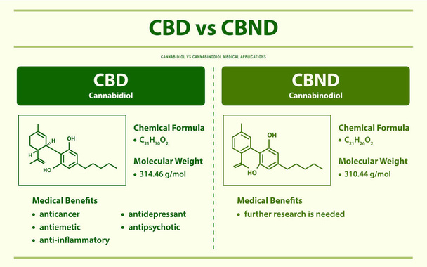 CBD vs CBND, Cannabidiol vs Cannabinodiol horizontális infografikai illusztráció a kannabisz, mint gyógynövény alternatív gyógyászat és kémiai terápia, egészségügyi és orvostudományi vektor. - Vektor, kép