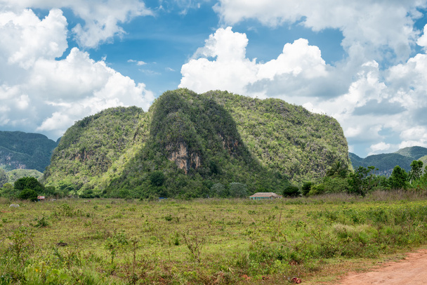 Mountains at the Vinales valley in Cuba - 写真・画像
