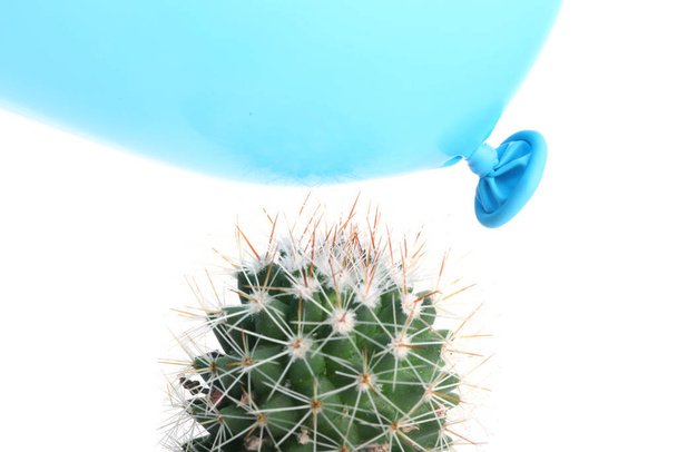 Cactus and air balloon on white background - Photo, Image
