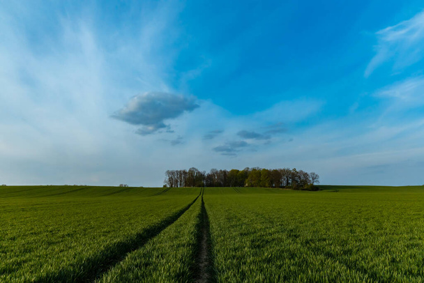 Pitkä polku vihreiden peltojen välillä pieneen koppiin - Valokuva, kuva