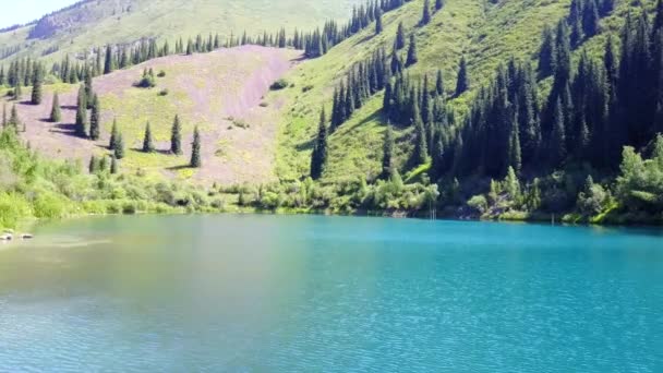 山の湖の底から針葉樹が立ち上がる - 映像、動画