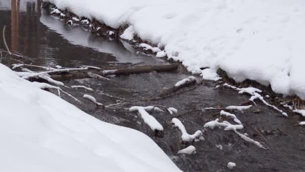 krajobraz ze śnieżną rzeką z wodą w zimny wieczór. kamera statyczna - Materiał filmowy, wideo