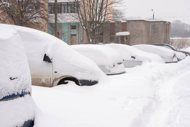 駐車車、雪に覆われ、道路に沿って立っている。街で雪が降り、雪が降る。コンセプト:交通の崩壊、降水量と雪のレベルの増加、吹雪や雪のドリフト. - 写真・画像