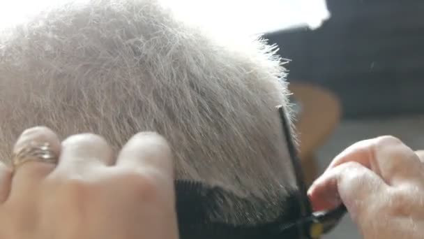 A női fodrász ollóval vágja a haját. Stylist csinál stílusos rövid frizura szőke nő fodrászat. Közelről. - Felvétel, videó