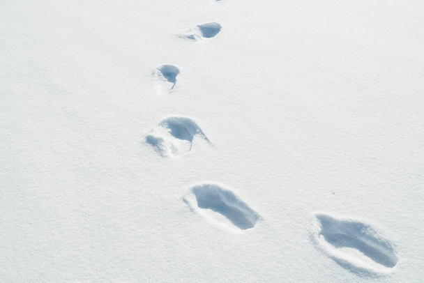abstraktní bílá sněhová vločka tapety s stopami - Fotografie, Obrázek