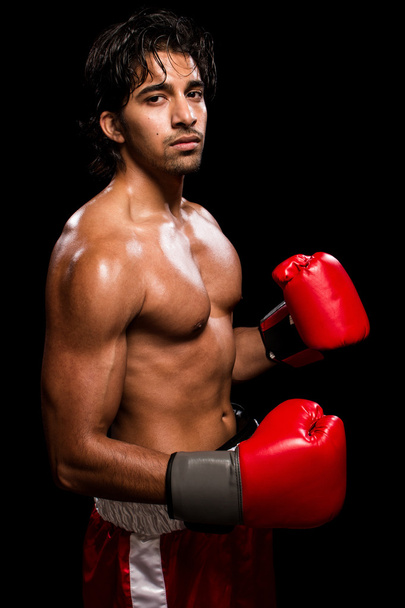 Male Boxer - Foto, Bild