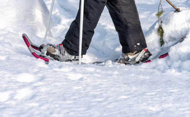 Blisko dziewczyny buty śnieżne chodzenie w białym puszystym śniegu, kijki narciarskie - Zdjęcie, obraz