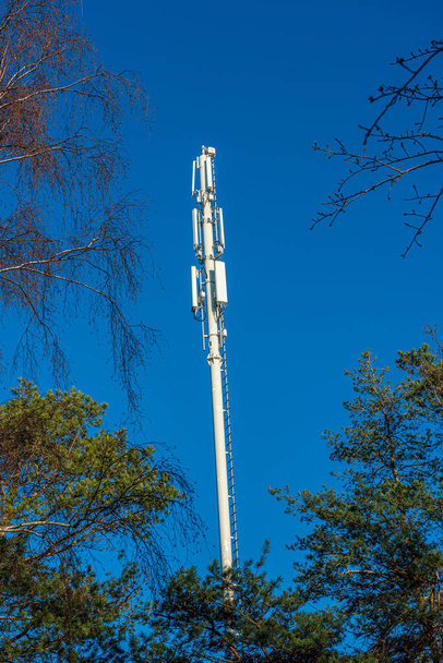 Mobilní komunikační anténní věž v lese. - Fotografie, Obrázek