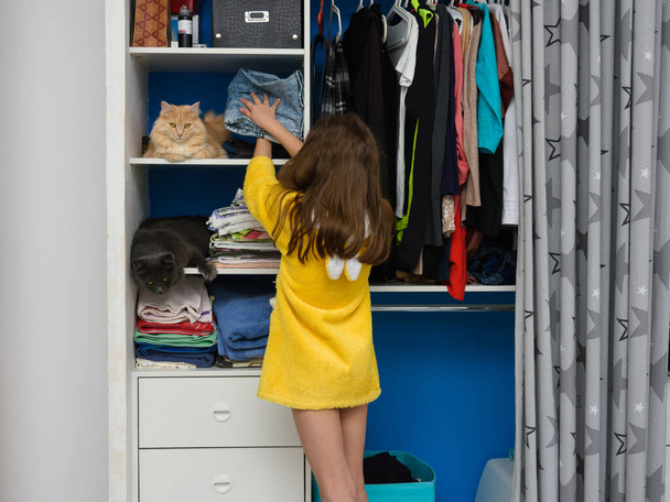 Egy nyitott szekrényben, két macska ül a polcon dolgokkal, egy lány összehajtott ruhákat tesz egy polcra egy macskával. - Fotó, kép