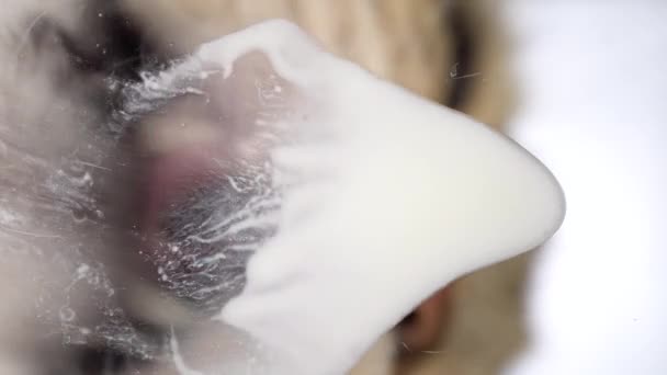 El gato lame la crema agria del vaso sobre un fondo blanco brillante. Gatos lengua close-up vista inferior. - Imágenes, Vídeo