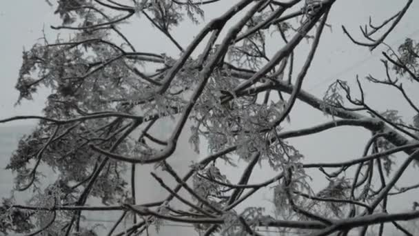der Blick aus dem Fenster auf den fallenden Schnee - Filmmaterial, Video