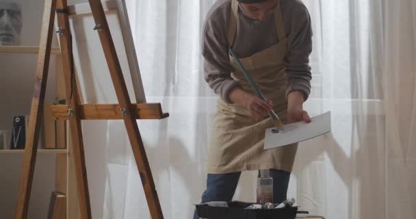 malba a kresba olejem nebo akrylovými barvami, žena umělec míchá barvy na paletě a připravuje se na náčrtky - Záběry, video