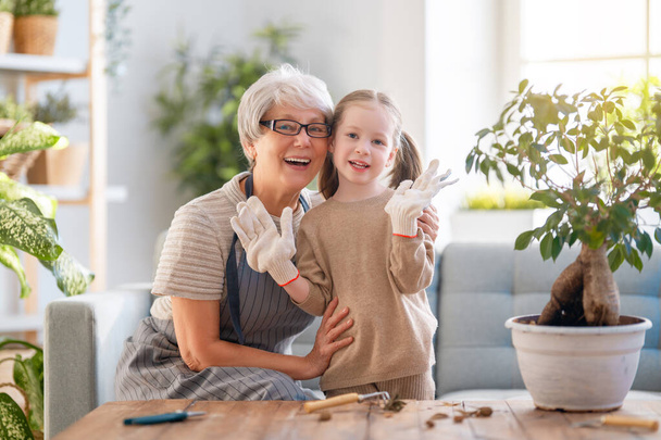 Cute child girl helping her grandmother to care for plants. Granny and her granddaughter engaging in gardening at home. Happy family in spring day. - Foto, imagen