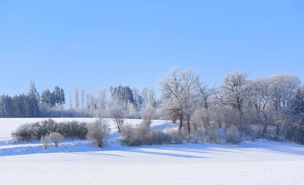 Téli táj Bajorországban fákkal és havazással, széles mezők hóval borítva, a kék ég előtt - Fotó, kép
