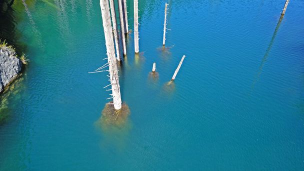 Naaldbomen rijzen op uit de diepte van het bergmeer - Foto, afbeelding