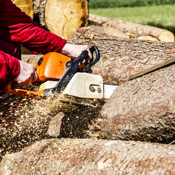 Man sawing a log in his back yard - Photo, Image