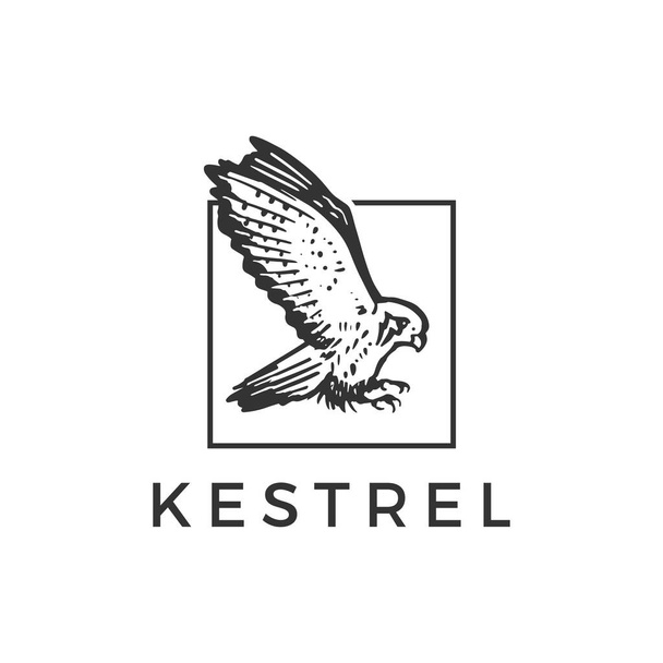 voar kestrel pássaro quadrado logotipo vetor ícone ilustração - Vetor, Imagem
