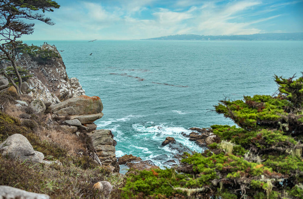 カリフォルニア州中部海岸のポイント・ロボス州立公園の岩だらけの海洋前線の場所にサイプレスの木. - 写真・画像