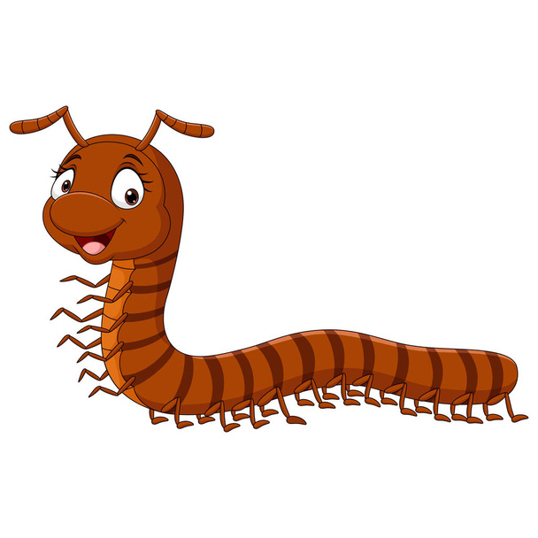 Vector illustration of Cartoon funny millipede on white background - Vector, Image