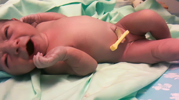 Infermiera esaminando un neonato dall'addome della mamma - Concetto di Genesi. - Foto, immagini