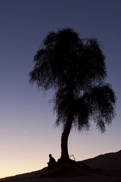 σιλουέτα του ανθρώπου που κάθεται κάτω από ένα δέντρο στην έρημο Ντουμπάι κατά τη διάρκεια του ηλιοβασιλέματος - Φωτογραφία, εικόνα