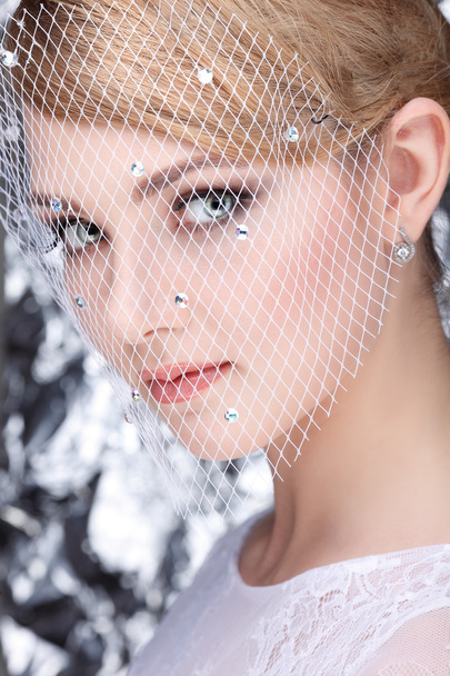 Beautiful white-headed girl in a veil on a silvery background, emotions, cosmetics - Foto, afbeelding