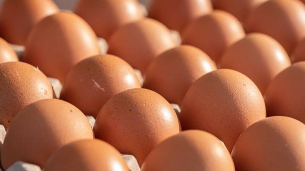 Ovos castanhos close-up de galinha e na caixa de ovos para venda - Foto, Imagem