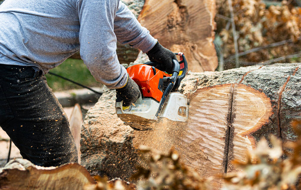 Ландшафтный дизайнер с помощью бензопилы распиливает большие стволы деревьев после шторма на Лонг-Айленде. - Фото, изображение
