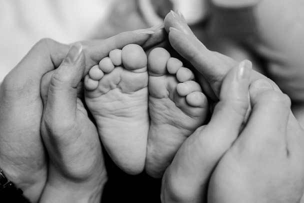 Baby voeten in handen van ouders van mama en papa. Liefde is voortzetting zwart-wit concept - Foto, afbeelding