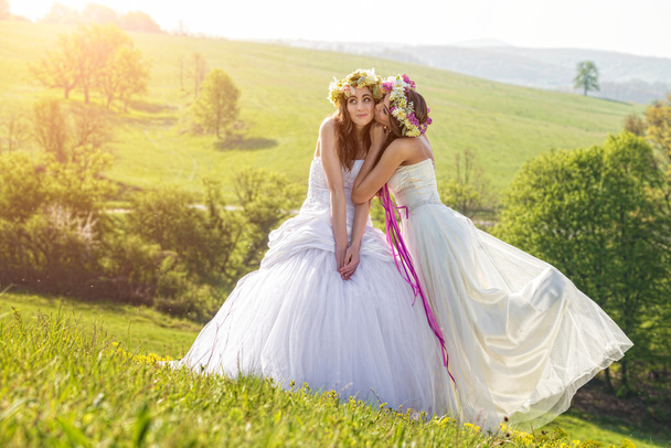 twee mooie bruid op een weide - Foto, afbeelding