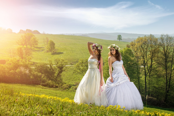 zwei schöne Braut auf einer Wiese - Foto, Bild