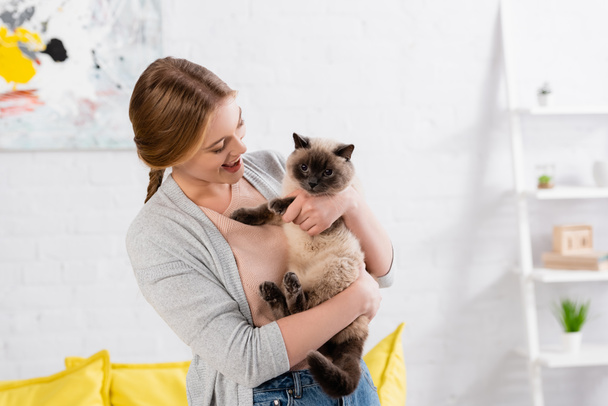 Cheerful woman holding siamese cat at home  - Foto, imagen