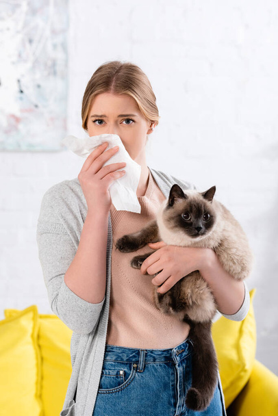 Donna che tiene il tovagliolo durante reazione allergica su gatto siamese  - Foto, immagini