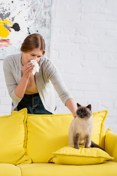 Woman with allergy petting siamese cat on pillow on couch  - Fotografie, Obrázek