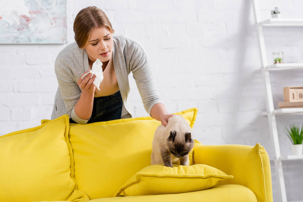 Siamese cat sitting on pillow near woman with allergy  - Photo, Image