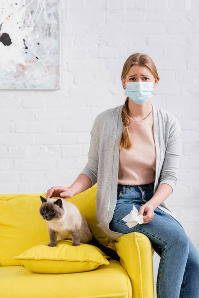 アレルギー時にナプキンを保持している医療用マスク中の動揺女性は、シアミ猫の近く  - 写真・画像