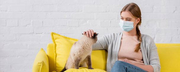 женщина в медицинской маске ласкает сиамскую кошку во время аллергии дома, баннер  - Фото, изображение