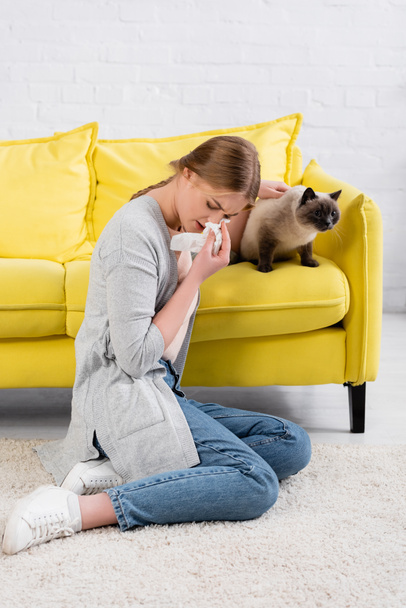 Νεαρή γυναίκα κρατώντας χαρτοπετσέτα κατά τη διάρκεια της αλλεργίας κοντά γάτα στον καναπέ  - Φωτογραφία, εικόνα