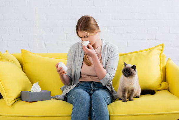 Donna con tovagliolo di tenuta di allergia durante snuffle e pillole vicino al gatto siamese peloso  - Foto, immagini